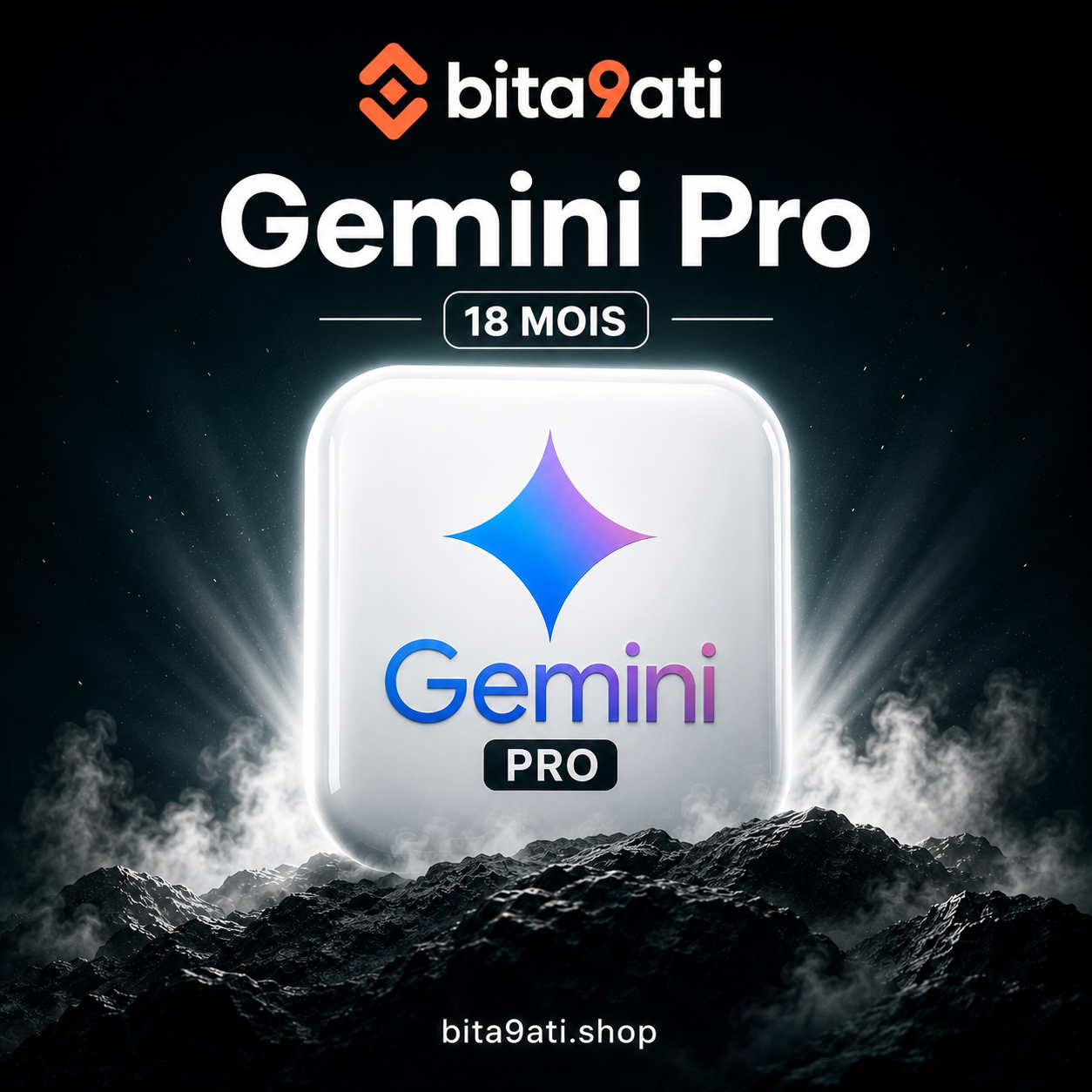 Gemini pro 18 mois